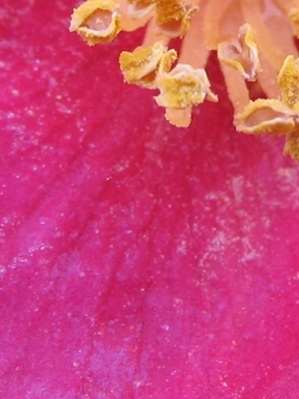 N̊ւQ80炢邩IN͑R炭Ȃ
