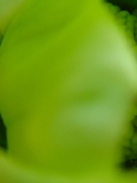 sg킹̓cB