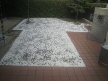 ���R�ʃW����