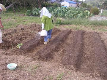 �؂�ď��߂Ďn�߂��B