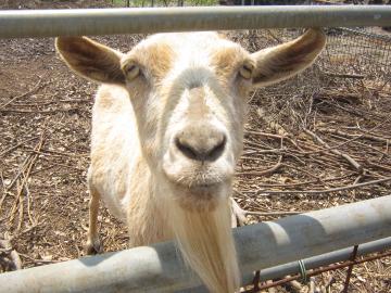 ��K���@�€����