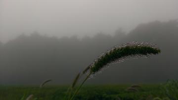 ˂