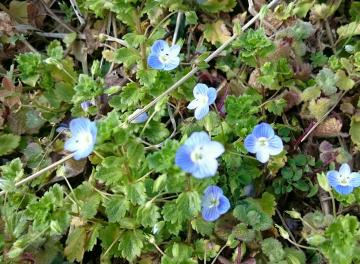 �C�k�m�t�O��