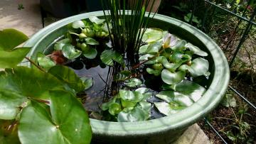 �r�I�g�[�v