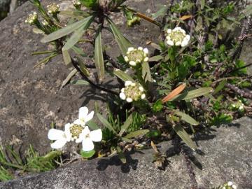 ��H�[�@��