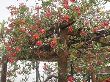 ��H�[�@��