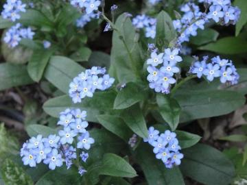 ��H�[�@��