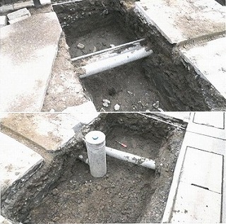 ��H�[�@�J�[�|�[�g�̒��̌��ł�