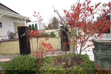 �G�N�X�e���A�@�A�́@�Ő�