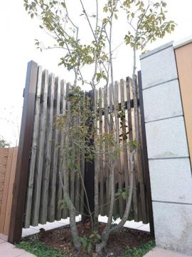 �G�N�X�e���A�H�[ ������ �����e�i���X ���R�f��