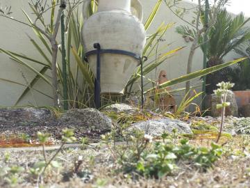 �G�N�X�e���A�H�[ ������ �l�H��