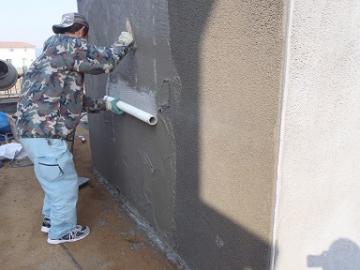 �G�N�X�e���A�H�[ ������ �t�@�C�o�[�V�[�g �{�H��