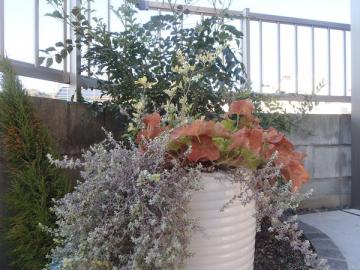 �G�N�X�e���A�H�[ ������ M�V�F�[�h �v���� �{�H��