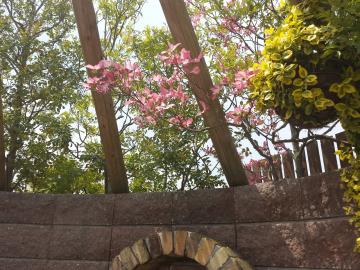 �G�N�X�e���A�H�[�@�������@�n�i�~�Y�L