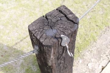 �G�N�X�e���A�H�[�������@����