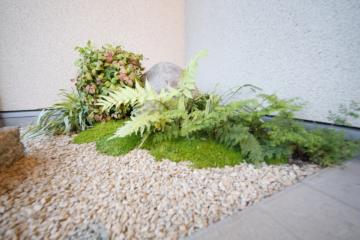 �G�N�X�e���A�H�[�������@�a���_���@�ؒ�