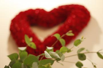 �G�N�X�e���A�H�[�������@���[�J��