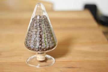 �G�N�X�e���A�H�[������