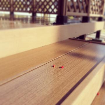 �G�N�X�e���A�H�[������