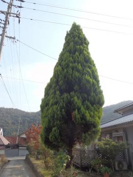 �G�N�X�e���A�H�[�������@�ް��޸ڽ�