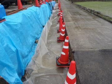 �G�N�X�e���A�H�[������