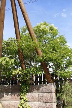 �V�}�g�l���R