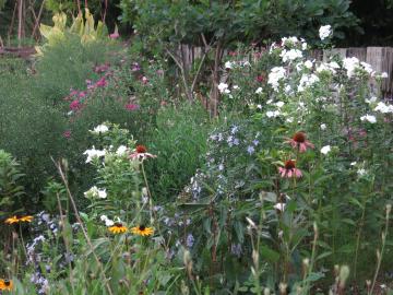 �G�߂̕ς���